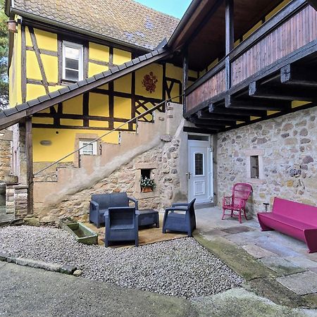 Studio Route Des Vins D 'Alsace Eichhoffen المظهر الخارجي الصورة