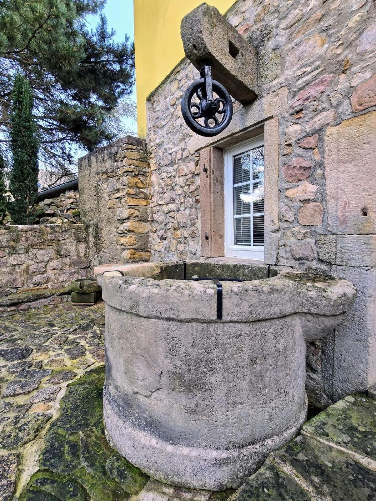 Studio Route Des Vins D 'Alsace Eichhoffen المظهر الخارجي الصورة